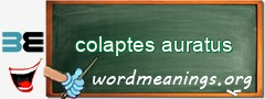 WordMeaning blackboard for colaptes auratus